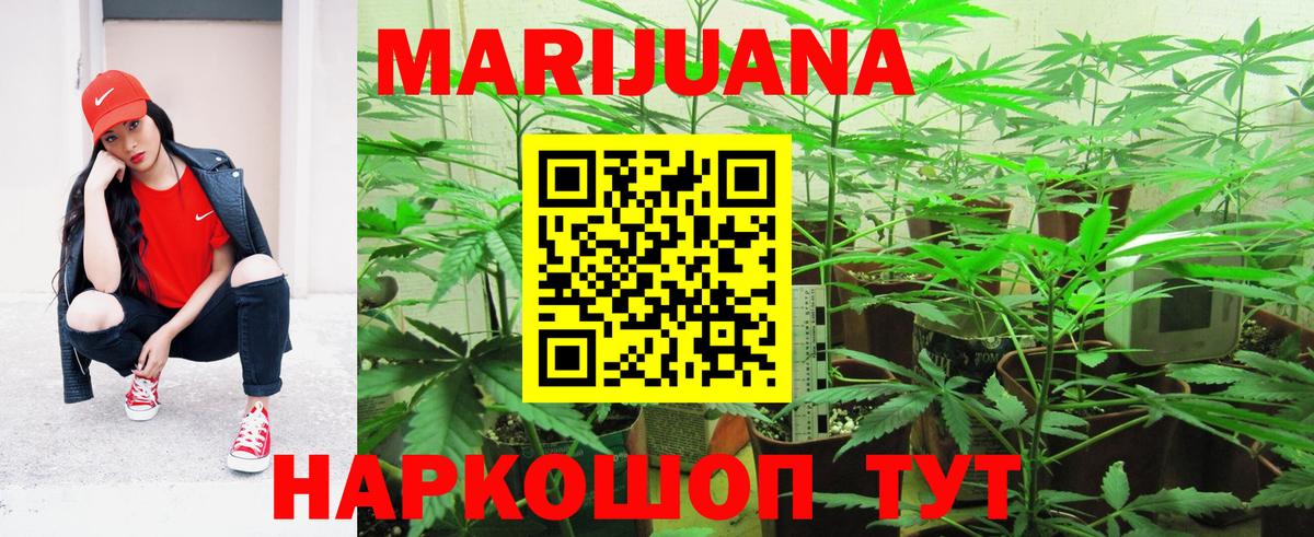 Бошки Шишки гибрид Артём